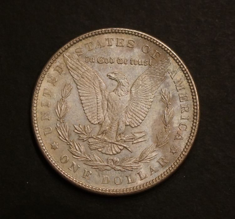 Three-More-Morgans-For-Grading-Opinions
