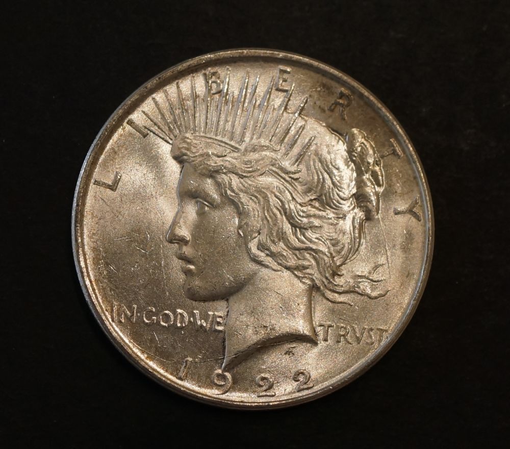 Two-Peace-Dollars-For-Grading-Opinions