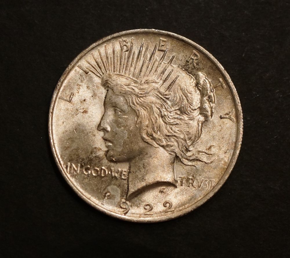 Two-Peace-Dollars-For-Grading-Opinions