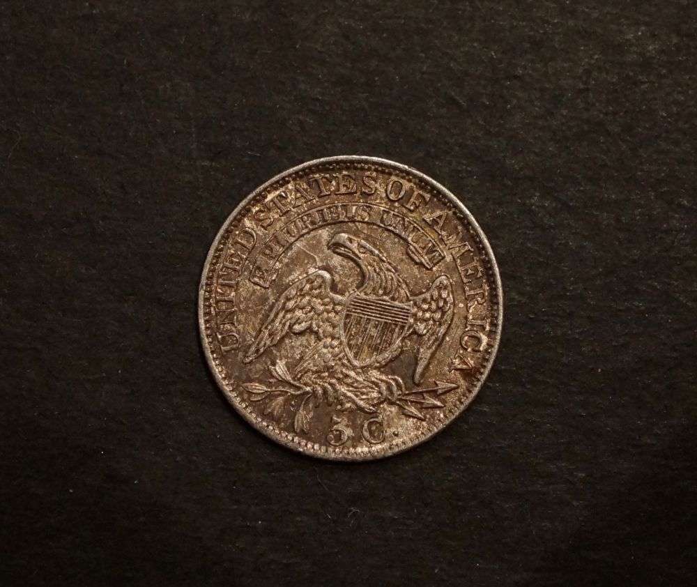 1829-Capped-Bust-Half-Dime---Grading-Opinions