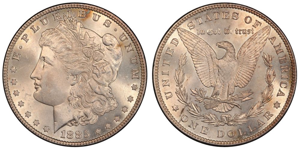 You-Vs-PCGS-1885-Morgan-Dollar