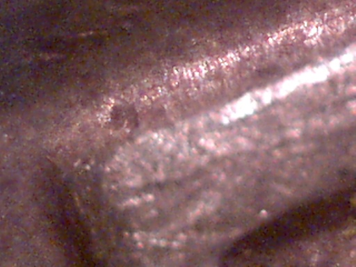 1956-D-Washington-Quarter-Doubled-Die?