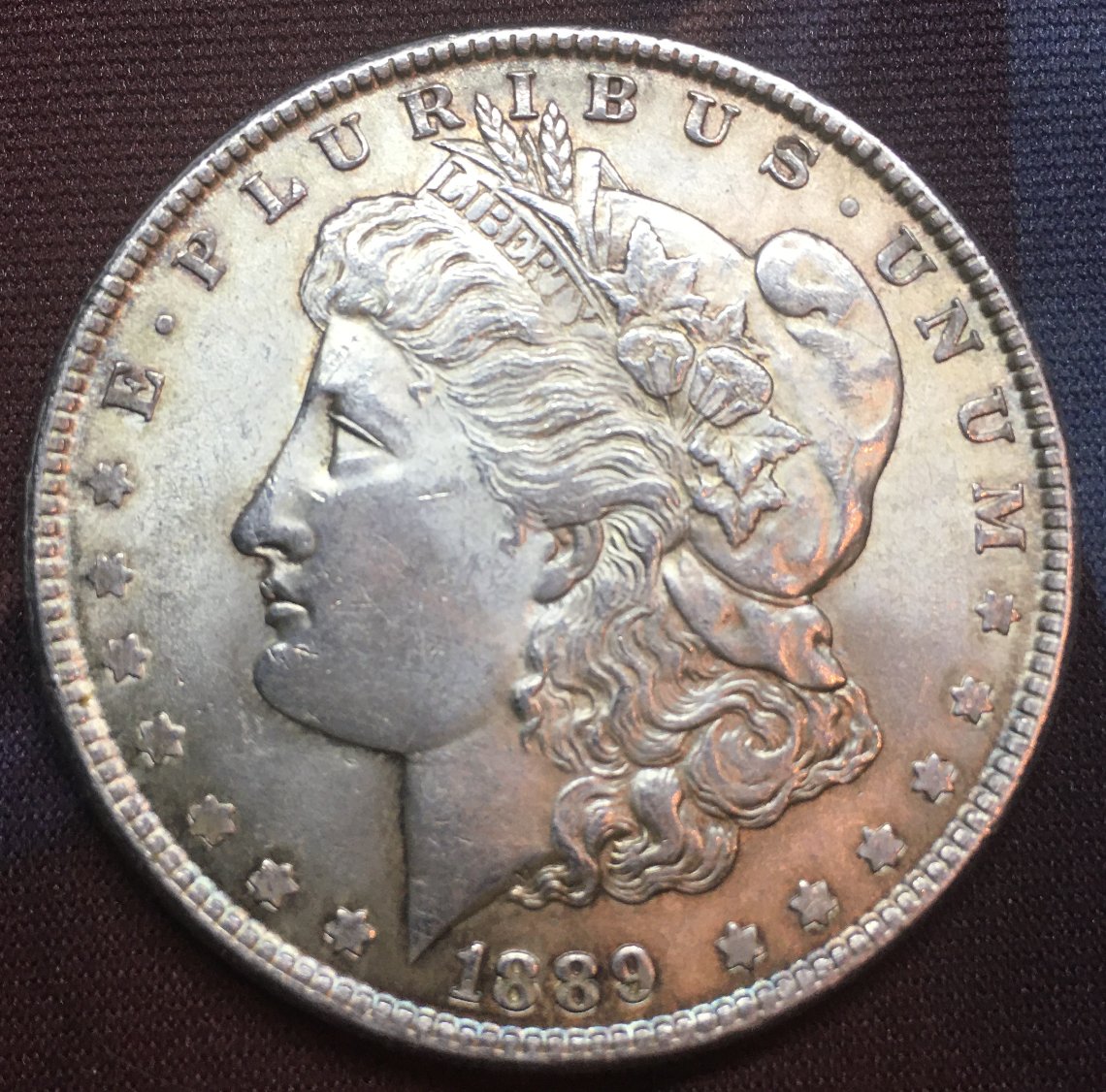 1889-Morgan-Dollar-For-Your-Consideration