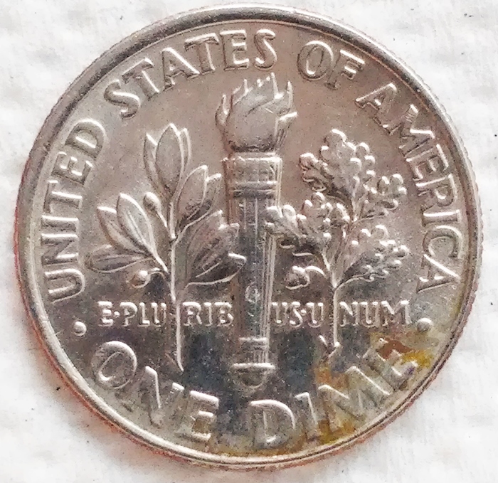 2003-P-Dime--With-Die-Chip-On-Neck-And-Ear