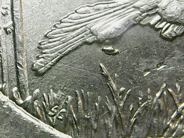 Cud-On-Kisatchie-Quarter/-Unless-I'm-Wrong.....again!