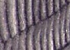 Name-That-Coin.--Daily-Coin-Snippet.