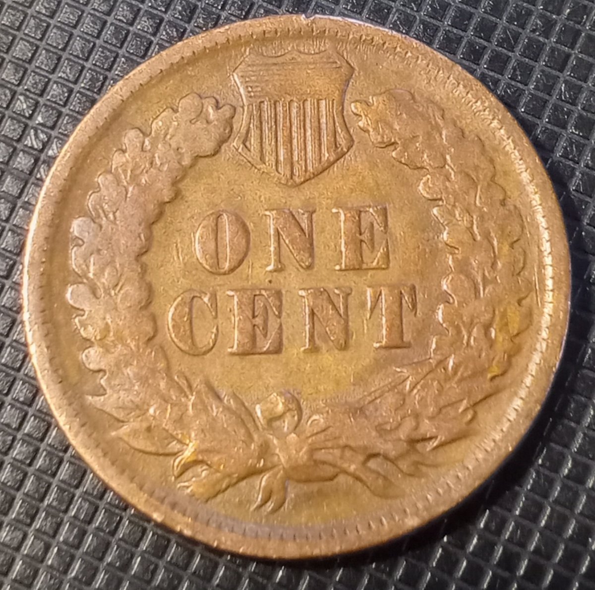 My-First-Indian-Head-1895
