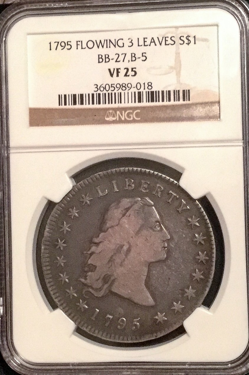 1795-$1-Flowing-Hair-Authenticity-Validation