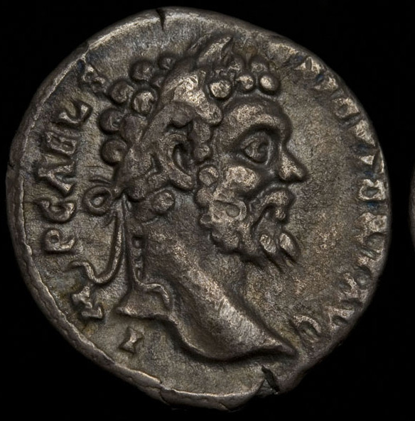 Severvs-Pivs-Avg---Mint-Poll