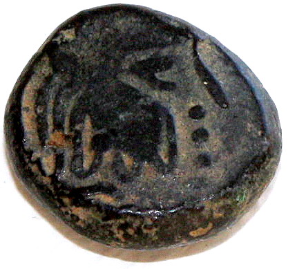 Maitraka-Dynasty-King--Bhatarka