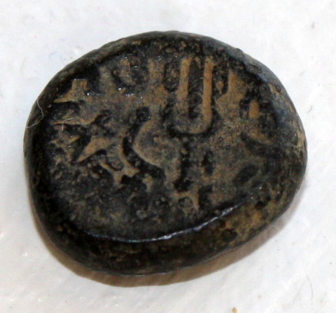 Maitraka-Dynasty-King--Bhatarka