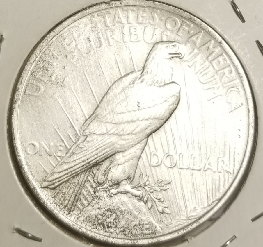 1923-Peace-Dollar-DDO-Date-And-Back-Of-Neck