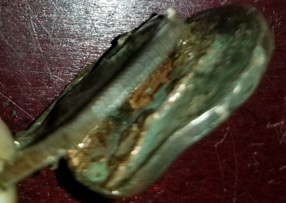 Show-Your-Vandalized-Coins
