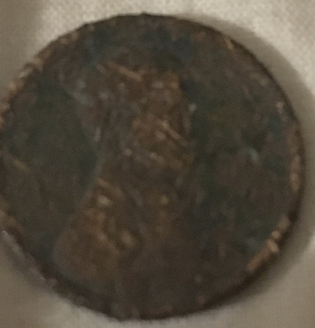 1919-S-Wheat-Cents-On-The-Grounds-From-A-Sidewalk?