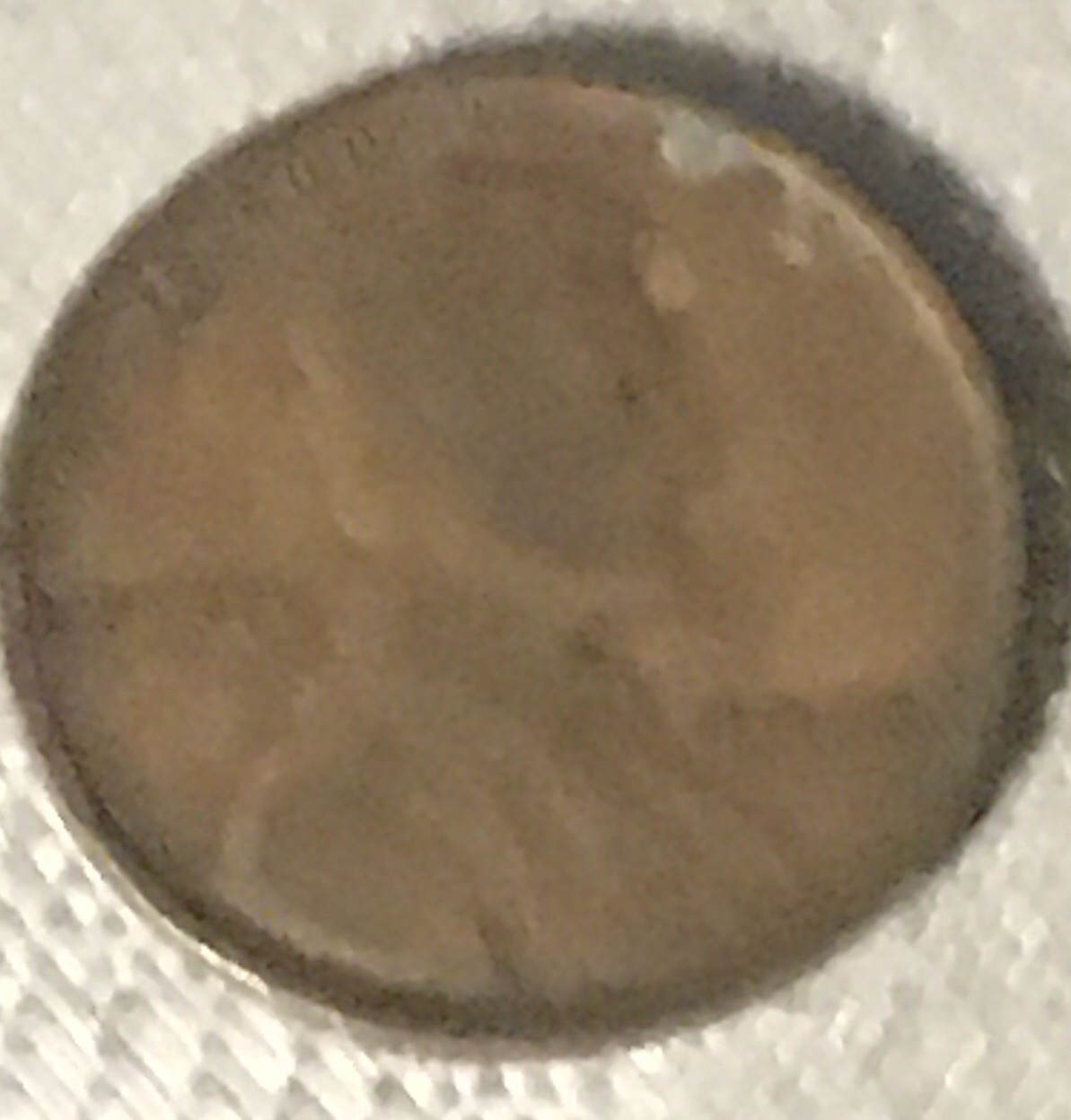 Coinstar-Finds!-Including-Bank-Counters-And-Other-Machines