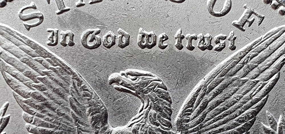 Morgan-Dollar-1881-O-With-Stains-Of-Some-Kind.