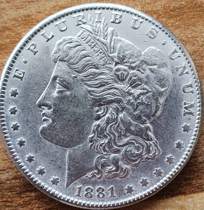 Morgan-Dollar-1881-O-With-Stains-Of-Some-Kind.