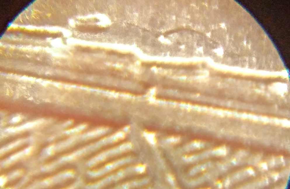 2015-Homestead-Quarter-Errors?