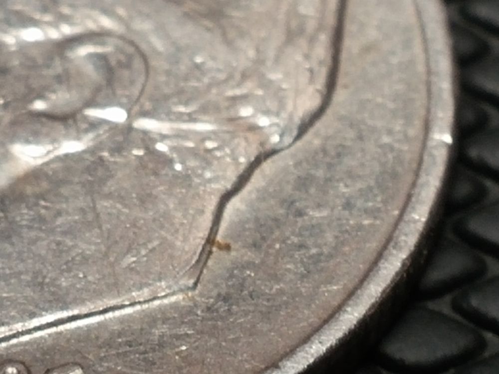 1966-Roosevelt-Dime--Damage.