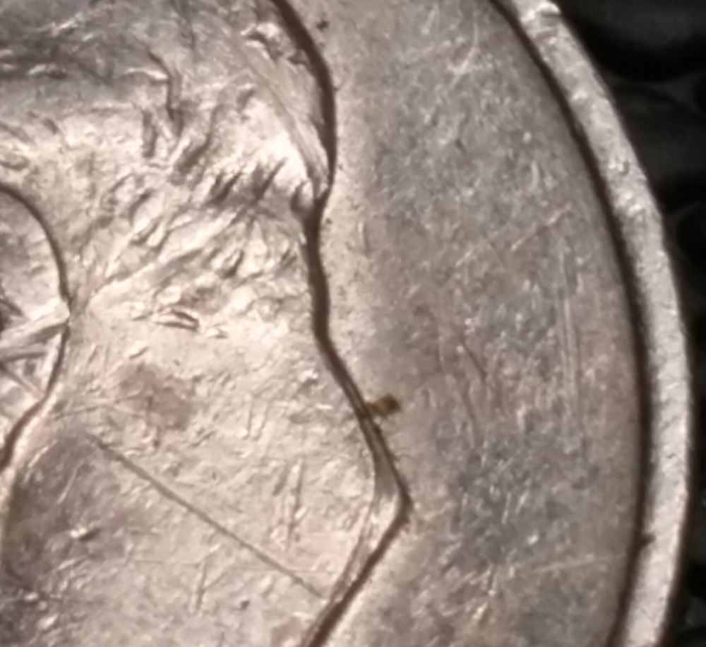 1966-Roosevelt-Dime--Damage.