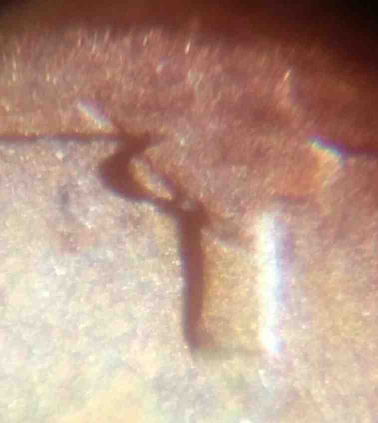 1968-D-LMC--Cud-Or-PMD?