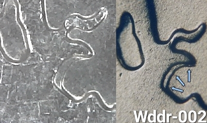 Need-Help-On-This-2007-Wyoming-WDDR-002?