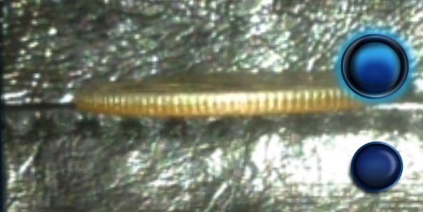 1994-D-Dime---2-Different-Metals?-Can-Someone-Take-A-Looksy?