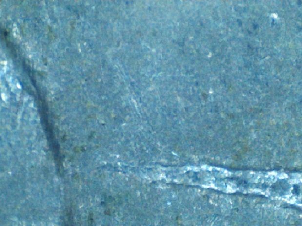 2005-Twenty-Cent-Gap-Coin
