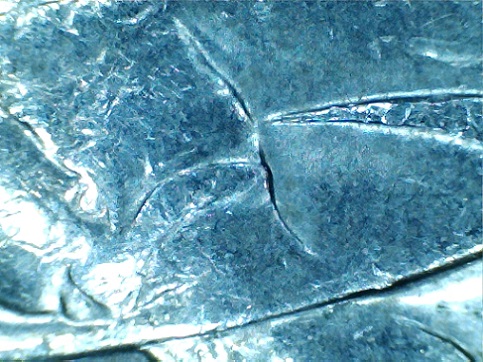 2005-Twenty-Cent-Gap-Coin