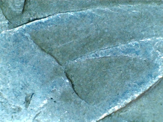 2005-Twenty-Cent-Gap-Coin