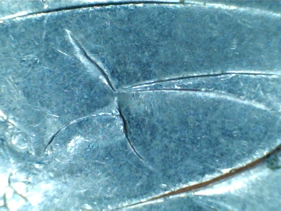 2005-Twenty-Cent-Gap-Coin