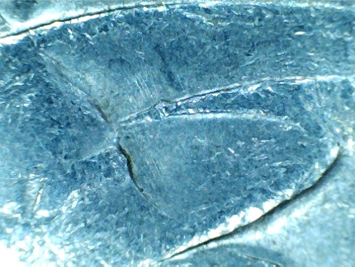 2005-Twenty-Cent-Gap-Coin