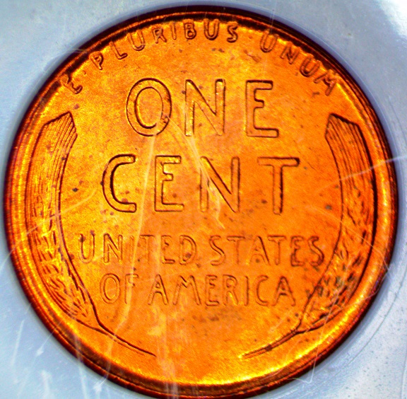 1955-Cent-In-Case-MS-67-Red