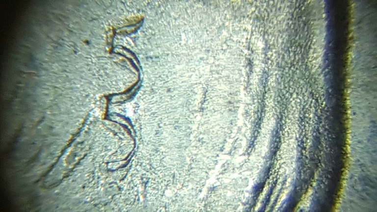 1966-Half-With-Unusual-55-Mark-On-Obverse
