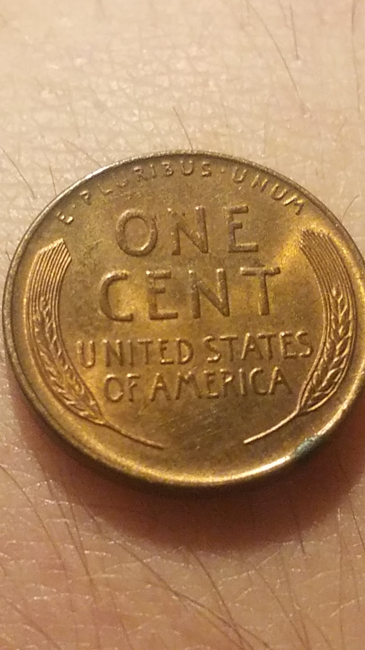 Anything-Worth-Grading?