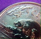 2010-Specimen-Nickel,-Error-Or-Variety?