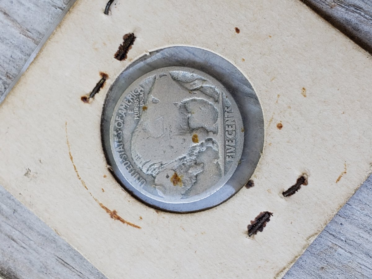 I-Was-Recently-Was-Told-This-Is-Probably-A-Authentic-Hobo-Buffalo-Nickel