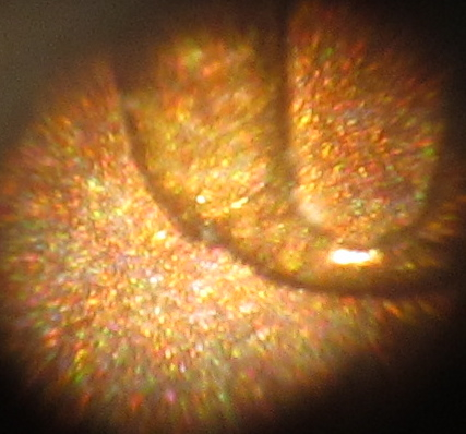 1880-IHC-With-Odd-Date