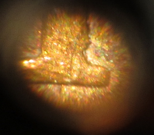 1880-IHC-With-Odd-Date