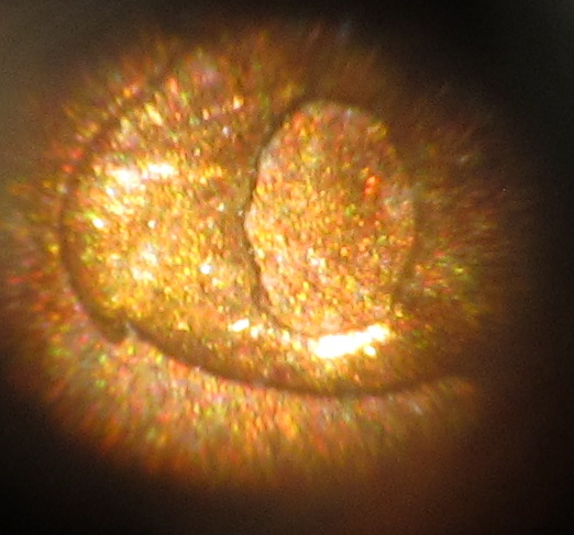 1880-IHC-With-Odd-Date
