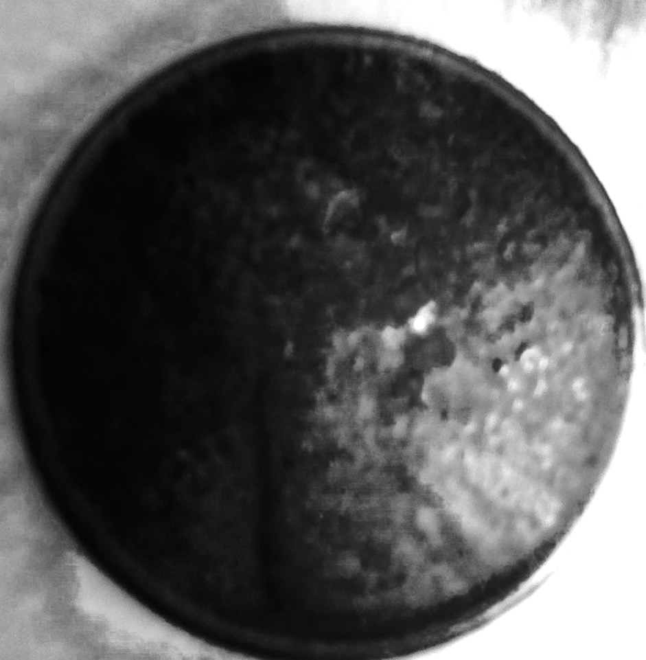19?-Copper-Wheat-Penny?-Would-You-Clean-It?