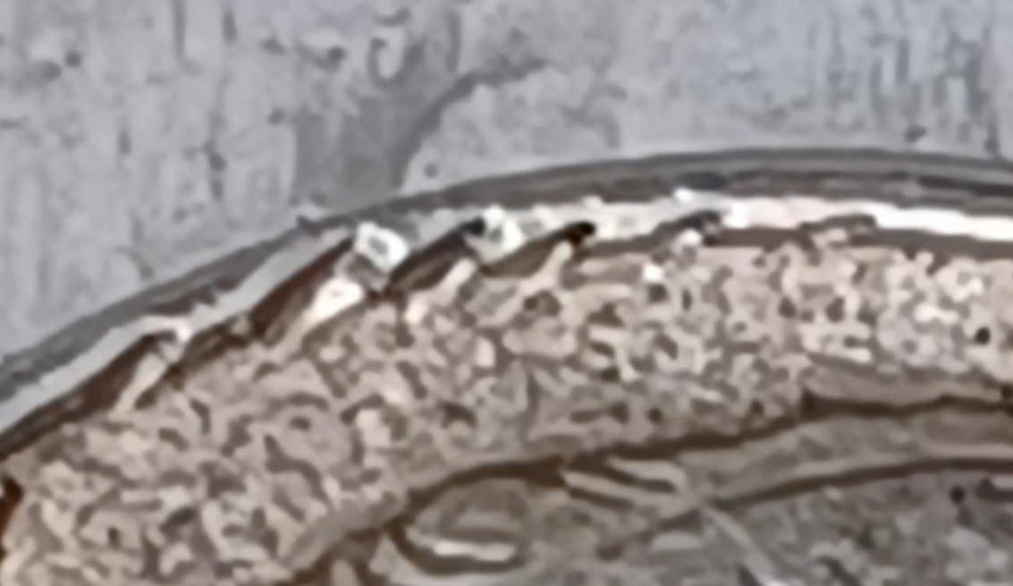 Gouges On Rim And Edge Of Coin 1962-D Roosevelt Dime Die Gouges Or Feeder Finger Damage On Inside ...