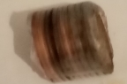 What-Kind-Of-Roll-Wrapper-Is-This?