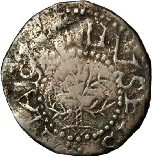 Which-Coin-Is-The-
