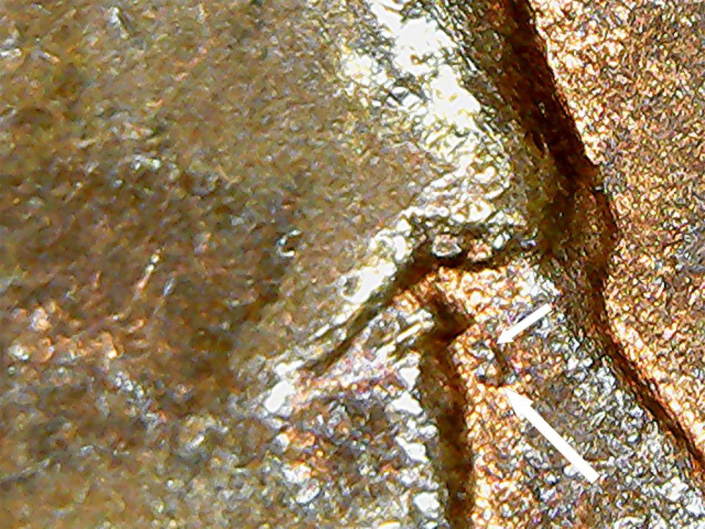 Lincoln-Cent-Doubled-Eyelid-Listing?