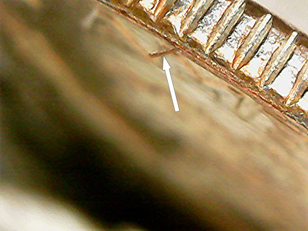2002-D-Dime-Curiosity---Copper-Fold