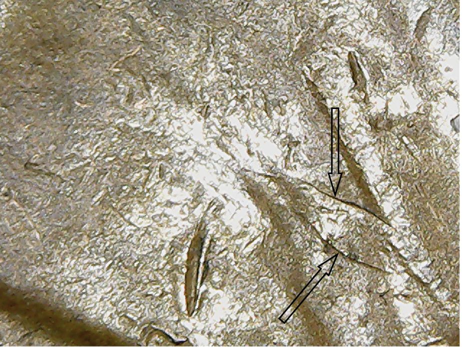 1954-S-LWC-BIE-Ldb4-1954-S-001B-Found.