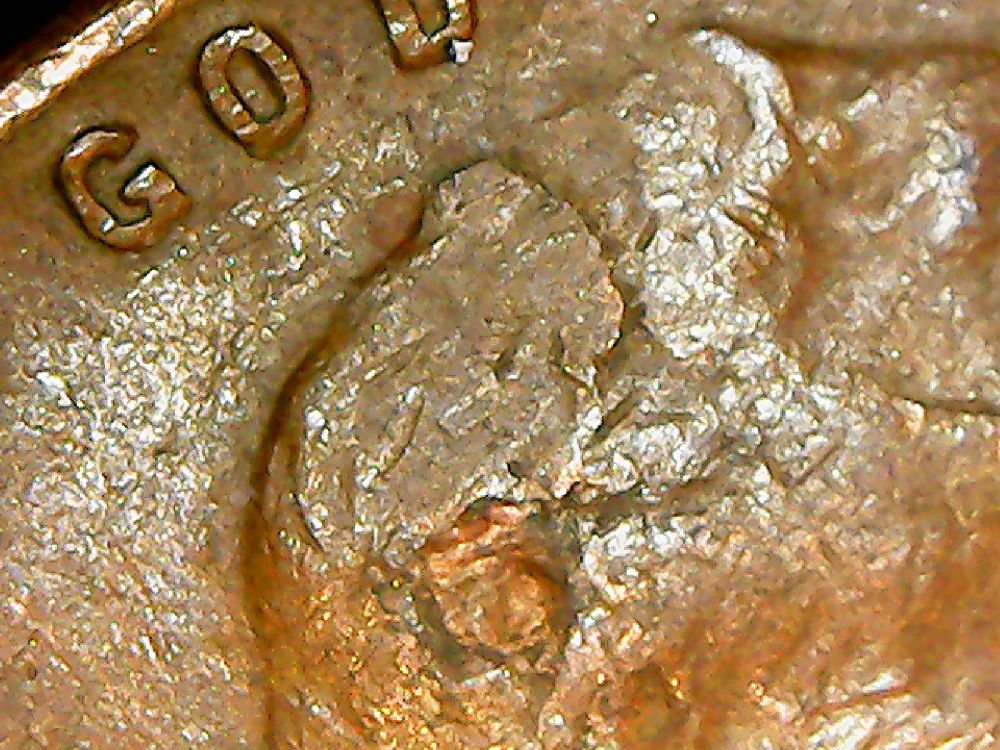 1950-D-LWC-Long-Lam---Top-Of-Head-To-Bottom-Of-Bust