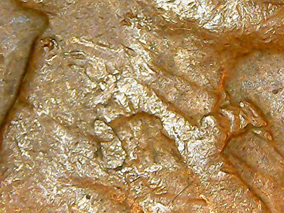 1950-D-LWC-Long-Lam---Top-Of-Head-To-Bottom-Of-Bust
