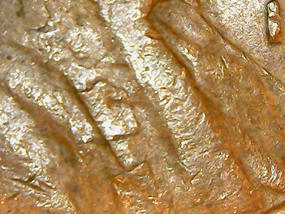 1950-D-LWC-Long-Lam---Top-Of-Head-To-Bottom-Of-Bust